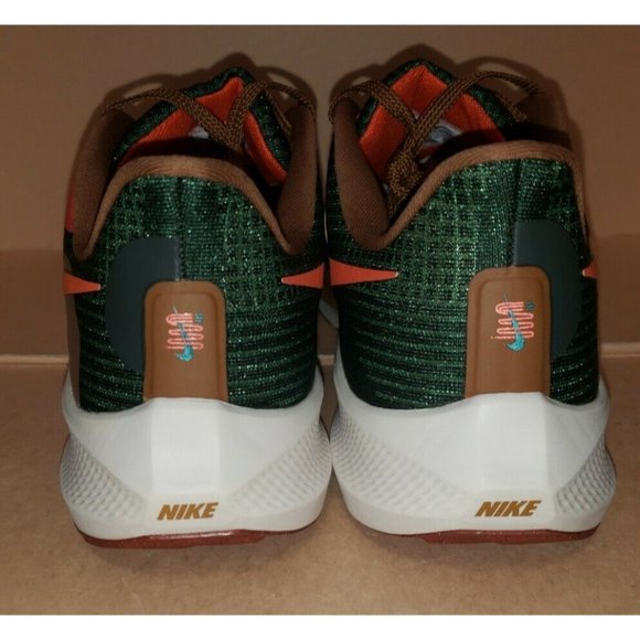 NIKE AIR ZOOM PEGASUS 39 A.I.R. HOLA LOU MEN\'S Size 13 NWOB